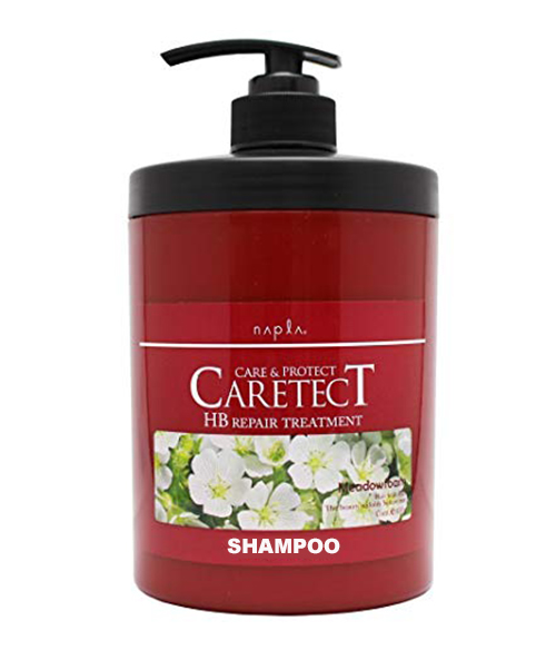 Napla Caretect HB Repair Shampoo 1
