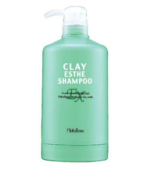 Case for shampoo Moltobene Clay Esthe EX, 500ml